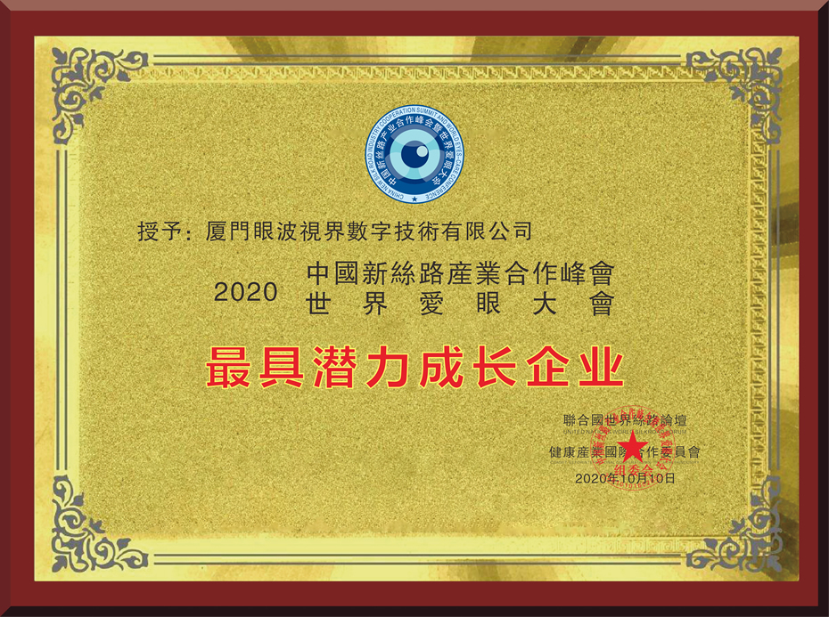 最具潛力成長企業(yè)
